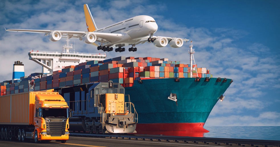 Transport carrier